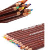 EP Engross Penart 12pcs Soft Pastel Pencils