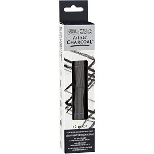winsor and newton artist charcoal